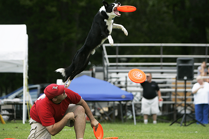 Jeff Duff of Louisville, KY competes in the expert freestyle event with his dog, Jesse, at the Skyhoundz North Central Regional championship in Osborne Park. (C-T photo Max Gersh) ©2010