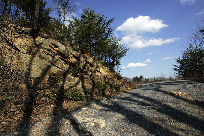 Shadows on a road in the Smokey Mountains. ©2011 Max Gersh