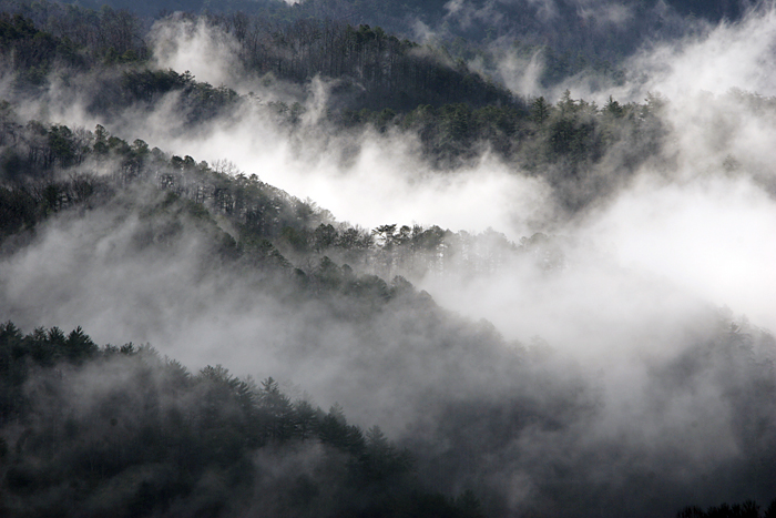 The Smokey Mountains as seen from the Foothills Parkway near Wallad, TN ©2011 Max Gersh