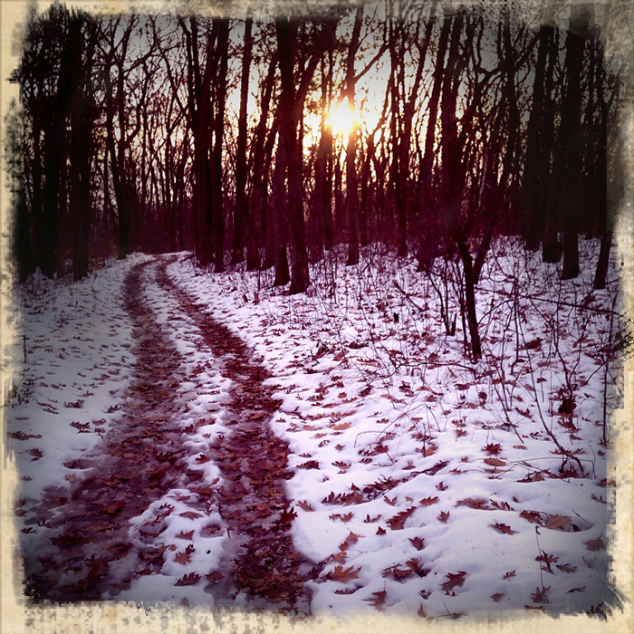 A trail at Devil's Lake State Park in Wisconsin. Shot using Retro Camera on a Droid Incredible. ©2011 Max Gersh