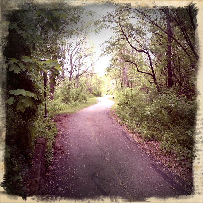 Part of the Rock River Rec Path in Rockford. Shot using Retro Camera on a Droid Incredible. ©2012 Max Gersh