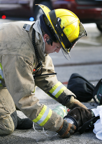 firefighter giving dog oxygen
