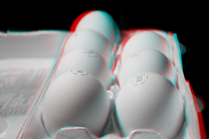 Carton of eggs. ©2014 Max Gersh